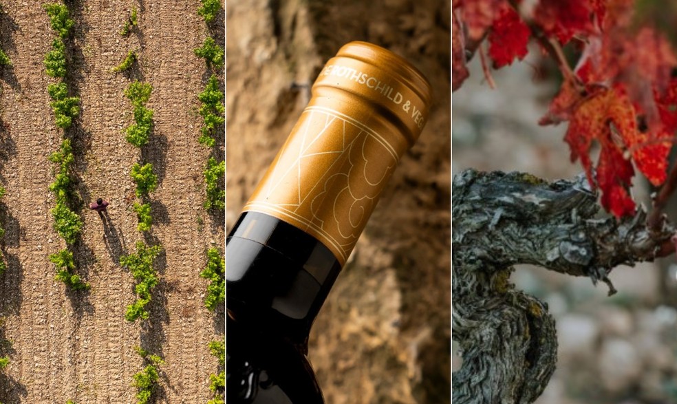 Macán: vinhos premium elaborados em Rioja — Foto: Divulgação