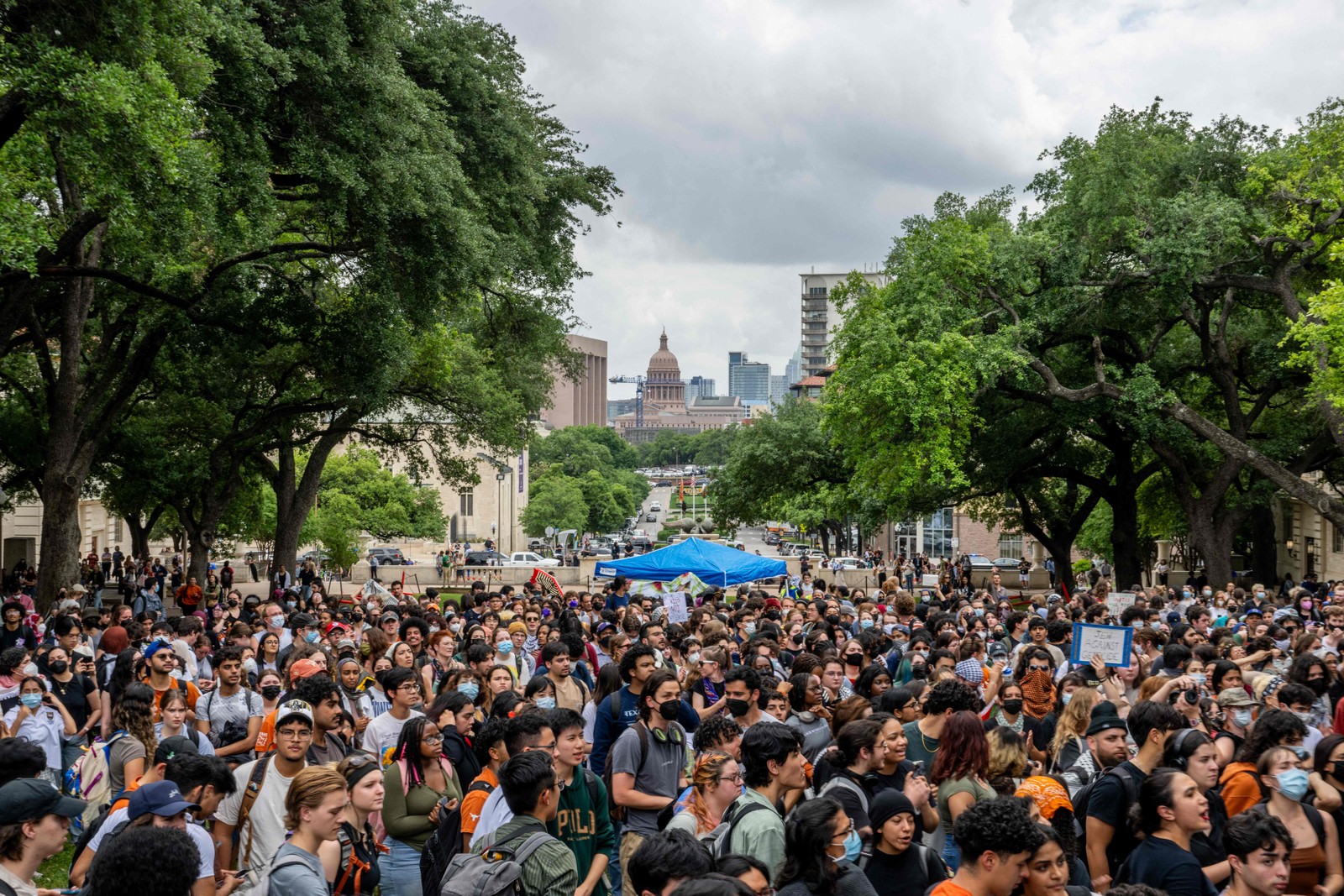 Estudantes se reúnem em protesto pró-Palestina na Universidade do Texas, em Austin — Foto: Brandon Bell / GETTY IMAGES NORTH AMERICA / Getty Images via AFP
