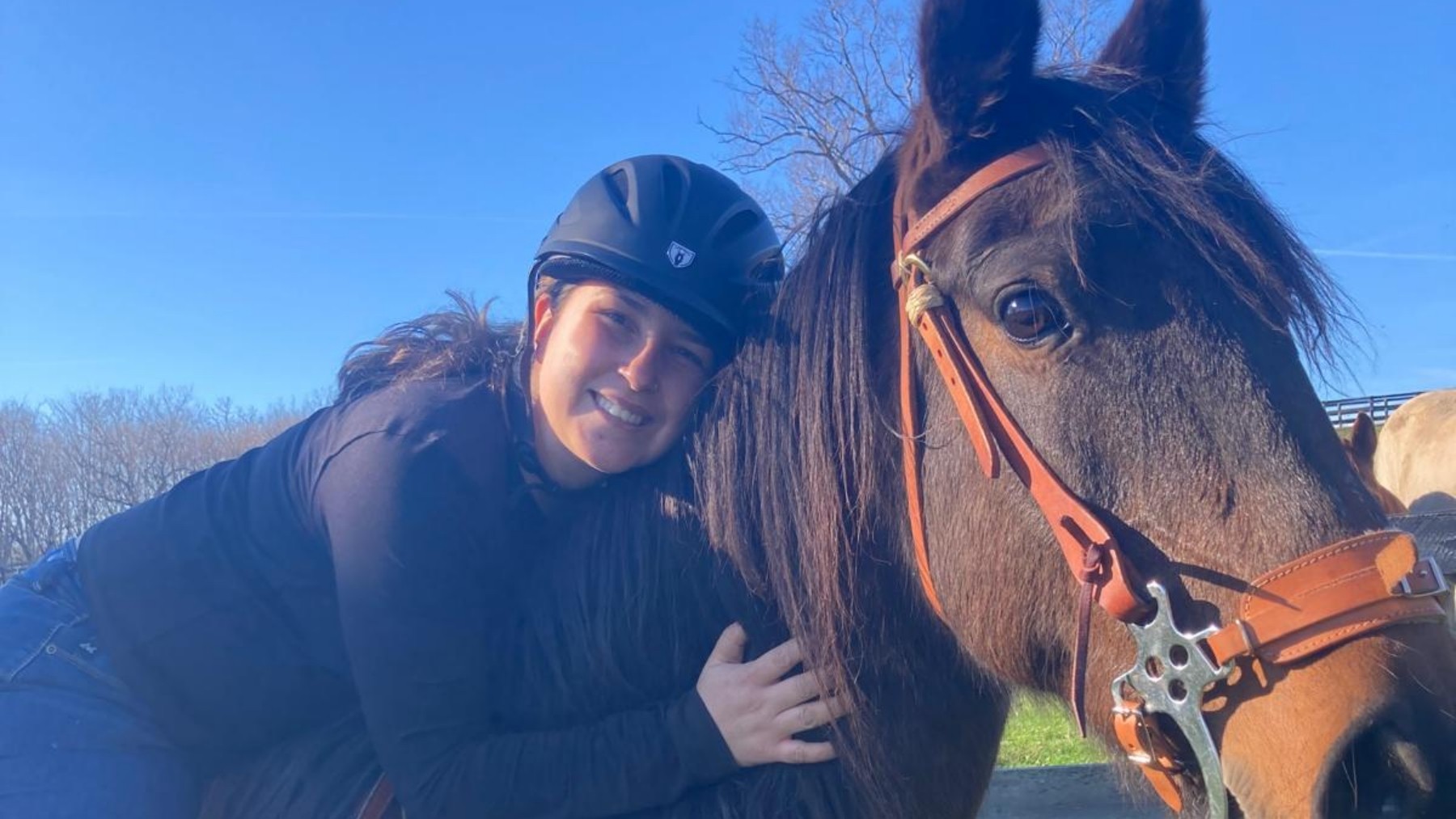Quem é a veterinária brasileira que deixou Minas pelos EUA e descobriu nos cavalos uma paixão para a vida