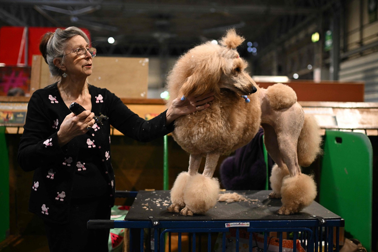 Crufts: conheça a competição canina mais prestigiada do mundo
