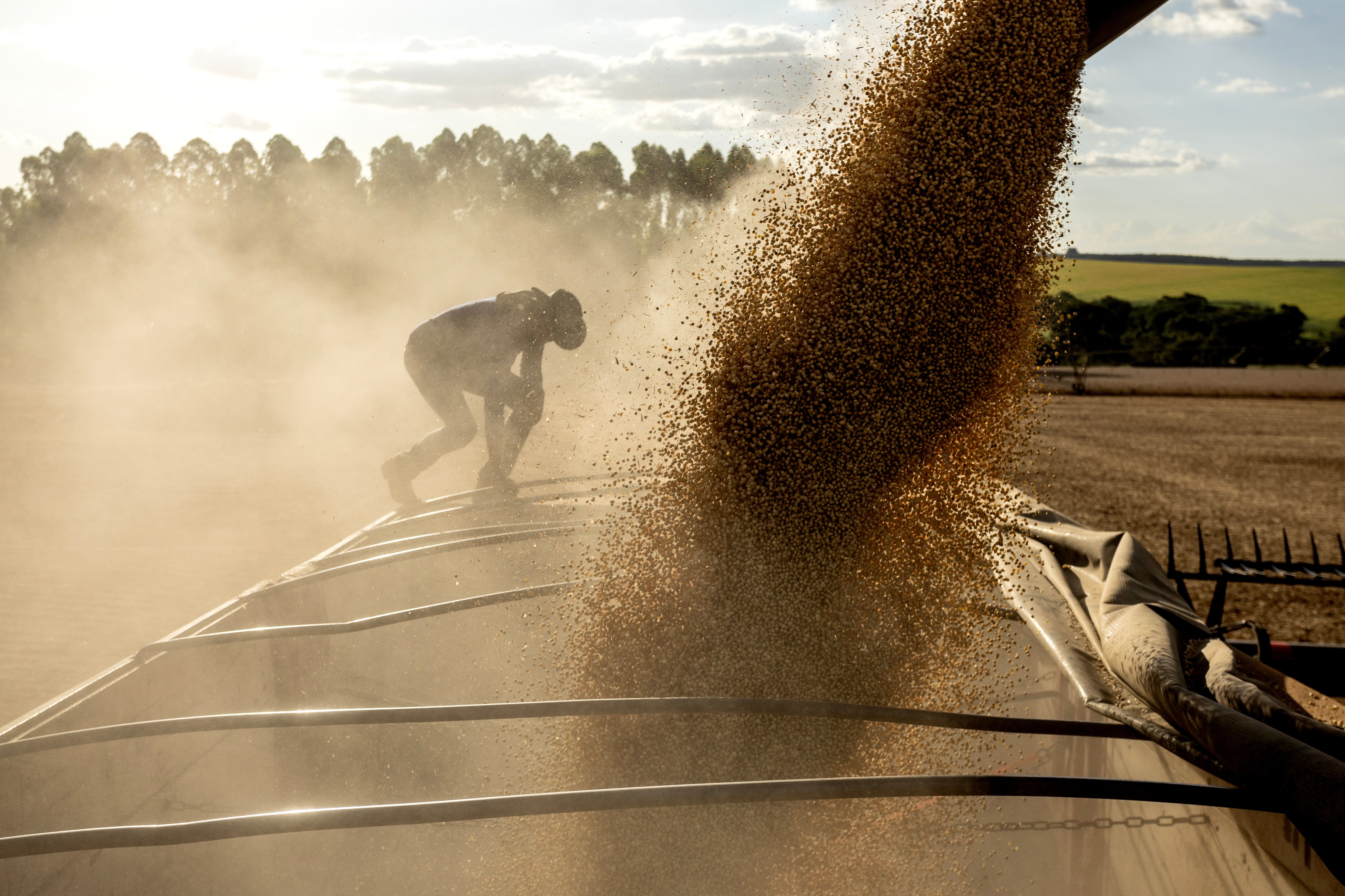 Diversidade e alta produtividade do agro amenizam riscos do El Niño sobre a produção de biocombustíveis - QTU Questões do Universo