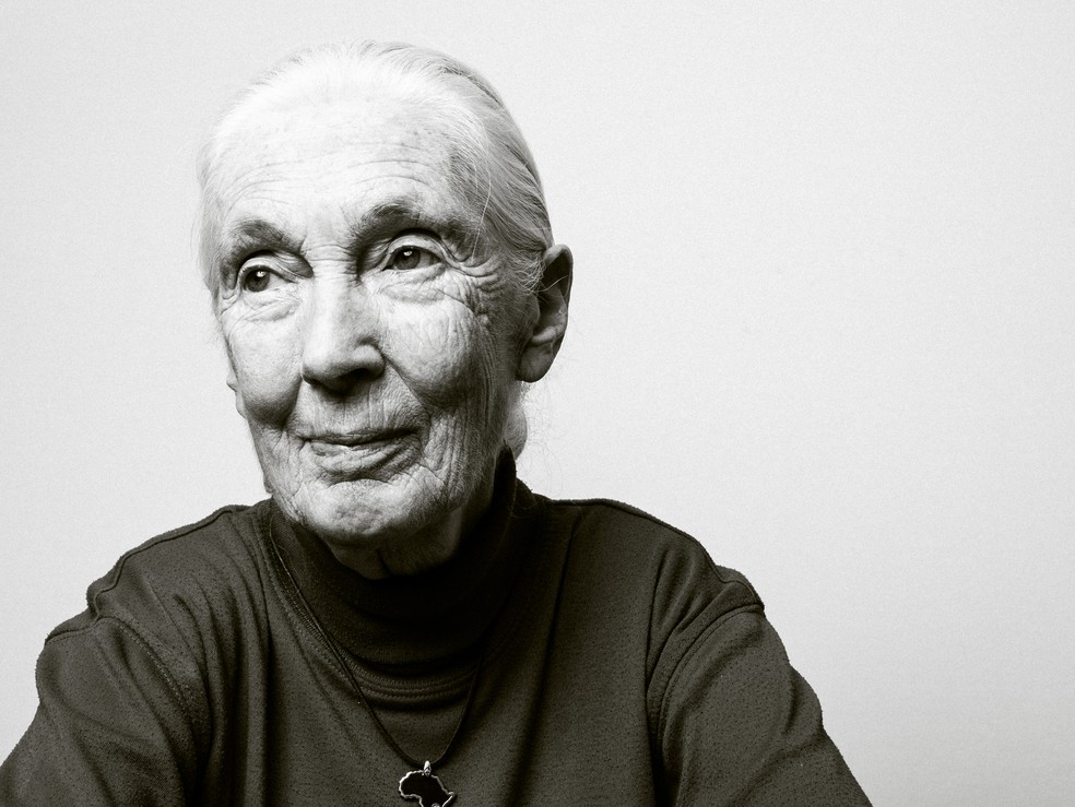 Jane Goodall conquistou prestígio científico e fama global ao registrar o comportamento peculiar dos chimpanzés selvagens da África Oriental — Foto: The New York Times