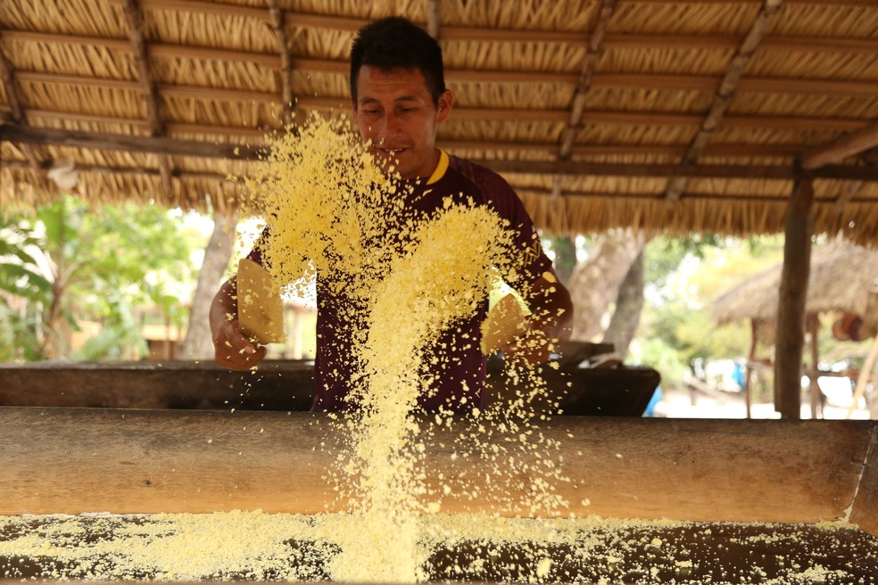 O ribeirinho Zé Mocinha ensina a fazer farinha de mandioca no estilo amazônico na Comunidade São Marcos, às margens do Rio Tapajós, nos arredores de Alter do Chão, no Pará — Foto: Felipe Mortara