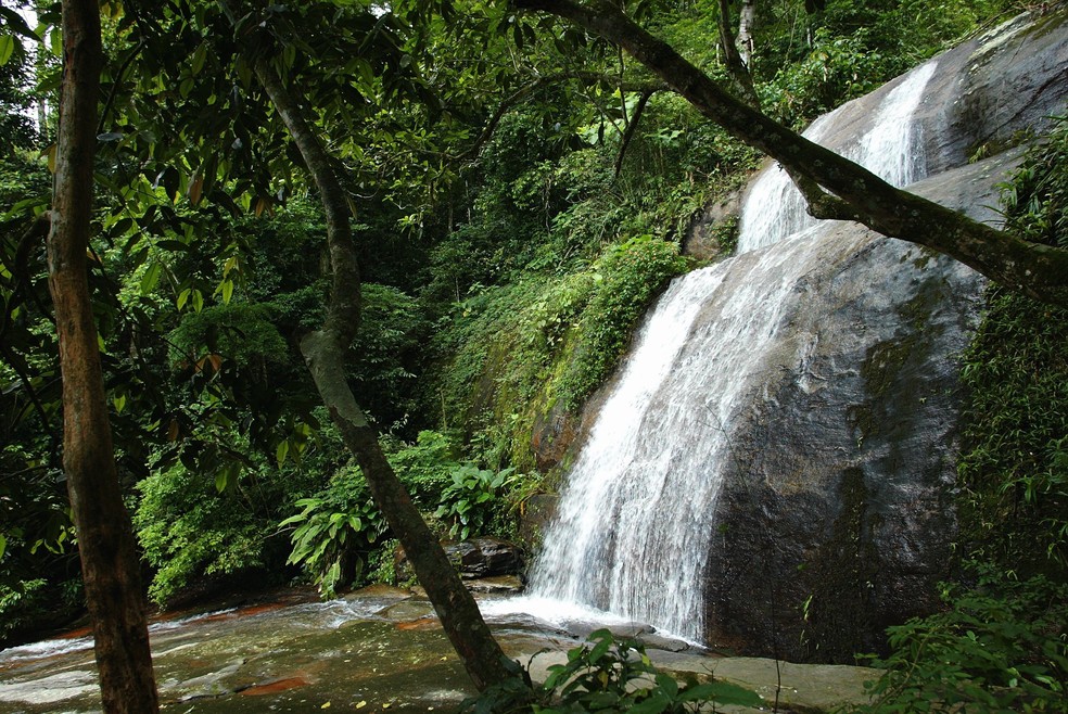 Foto de Cachoeira dos Primatas