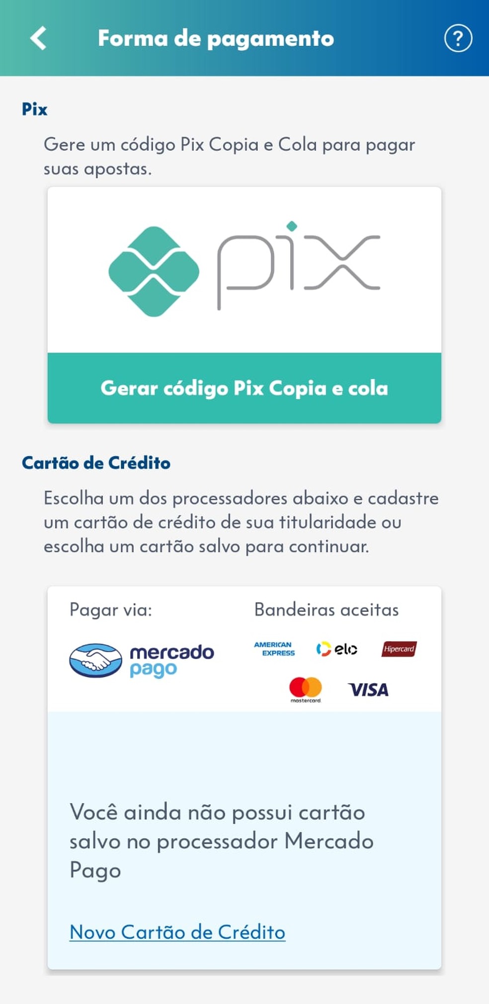 Área de pagamentos do app Loterias CAIXA — Foto: Reprodução: Caixa Econômica Federal