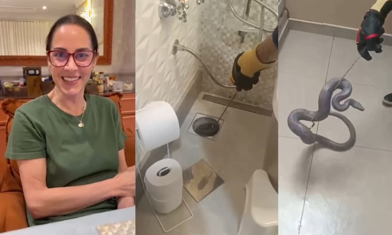 Cobra de estimação de Silvia Abravanel reaparece em ralo de banheiro após cinco meses desaparecida dentro de casa