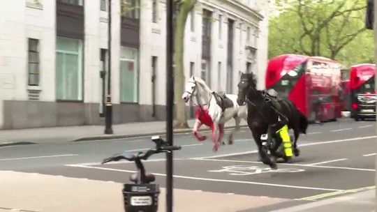 Cavalos em fuga: animais assustados correm descontroladamente pelas ruas de Londres cobertos de sangue; vídeos