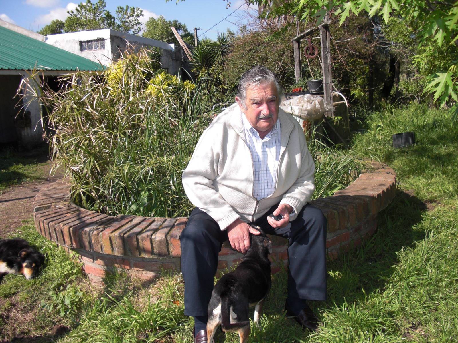 José "Pepe" Mujica, ex-presidente do Uruguai, em sua chácara — Foto: Janaina Figueiredo
