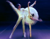‘O lago dos cisnes’, Grupo Corpo e outros espetáculos que fazem de maio o mês da dança