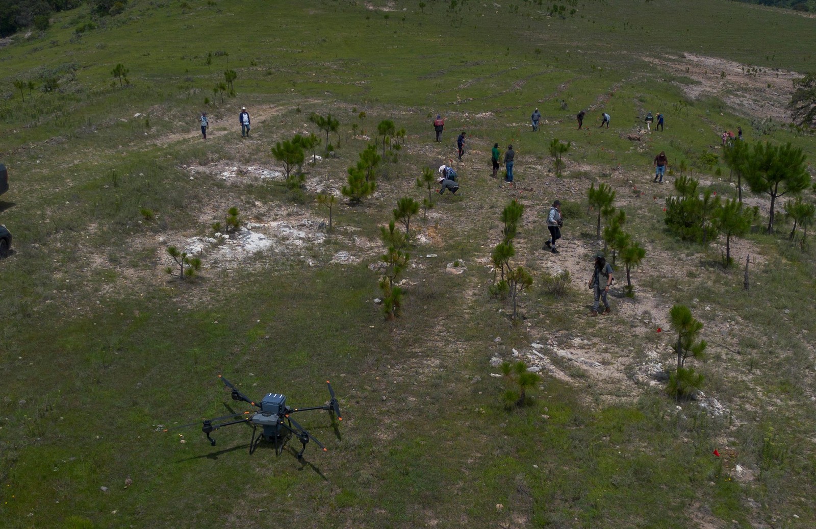 México usa drones para dispersar sementes e reflorestar florestas queimadas — Foto: Enrique Castro/AFP