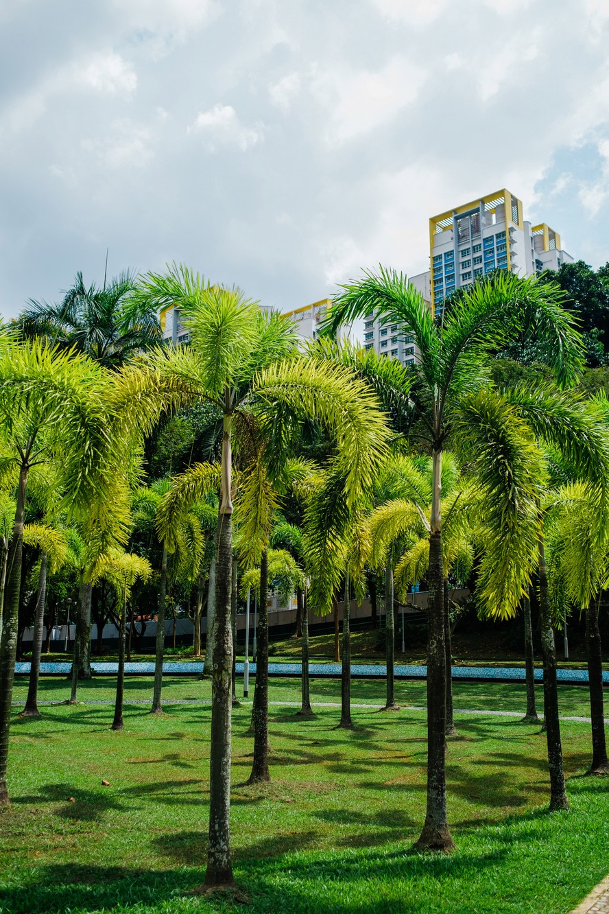 Parque Bishan-Ang Mo Kio, em Cingapura