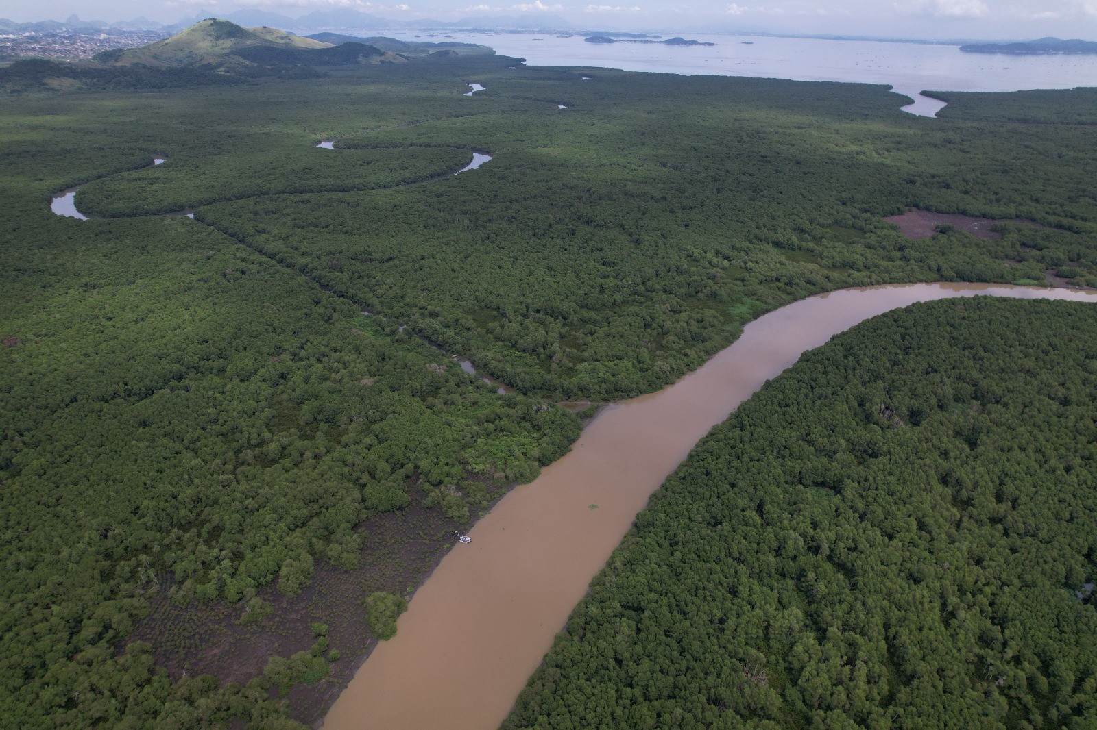 Região de Guapimirim vista de cima, após um ano e meio de replantio — Foto: Divulgação/Instituto Mar Urbano