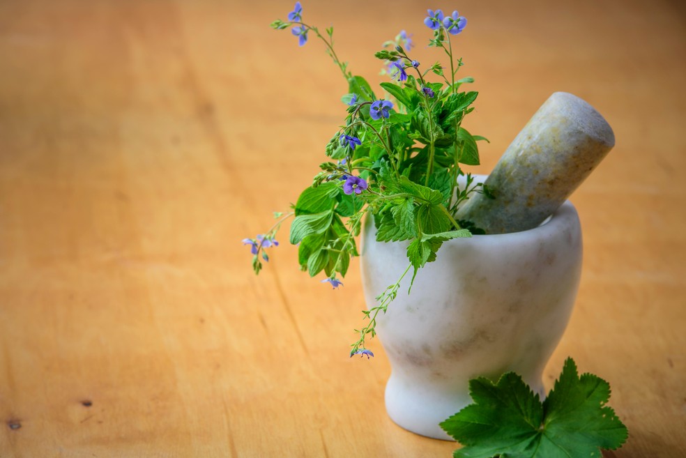 Menta — Foto: Pexels