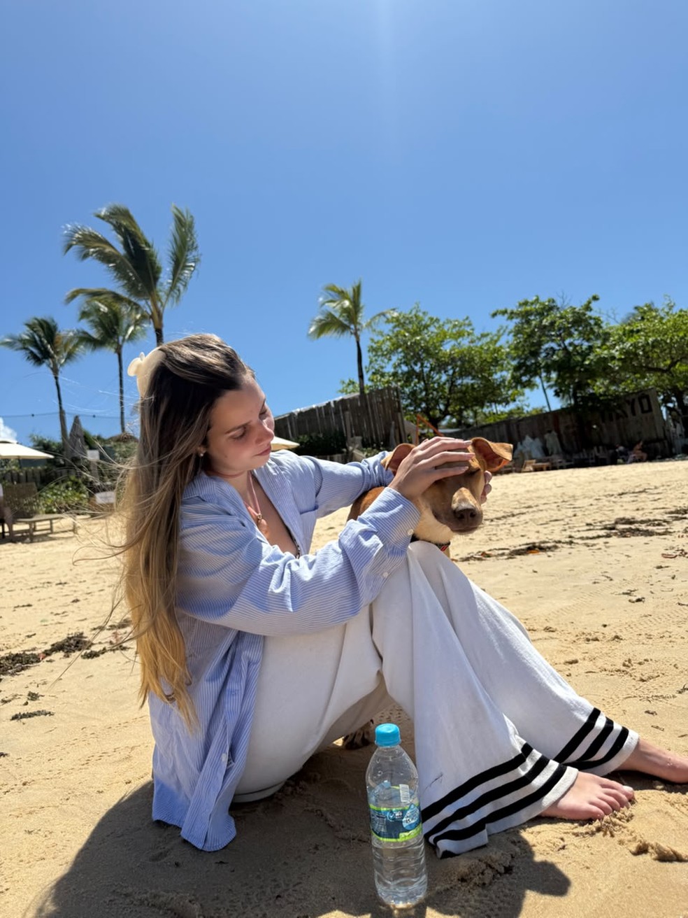 Casal de Niterói vai passar lua de mel na Bahia e volta com cão ...