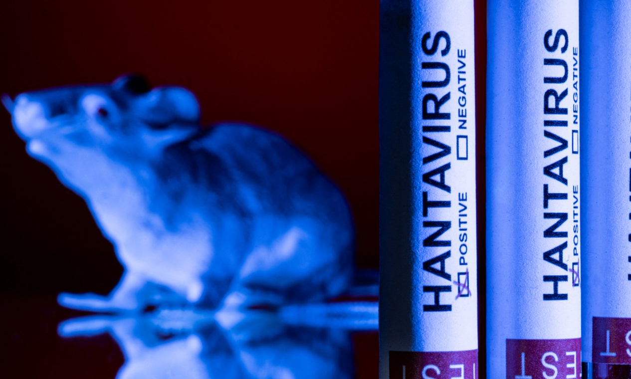 Hantavírus: os dois primeiros sintomas que você não deve ignorar