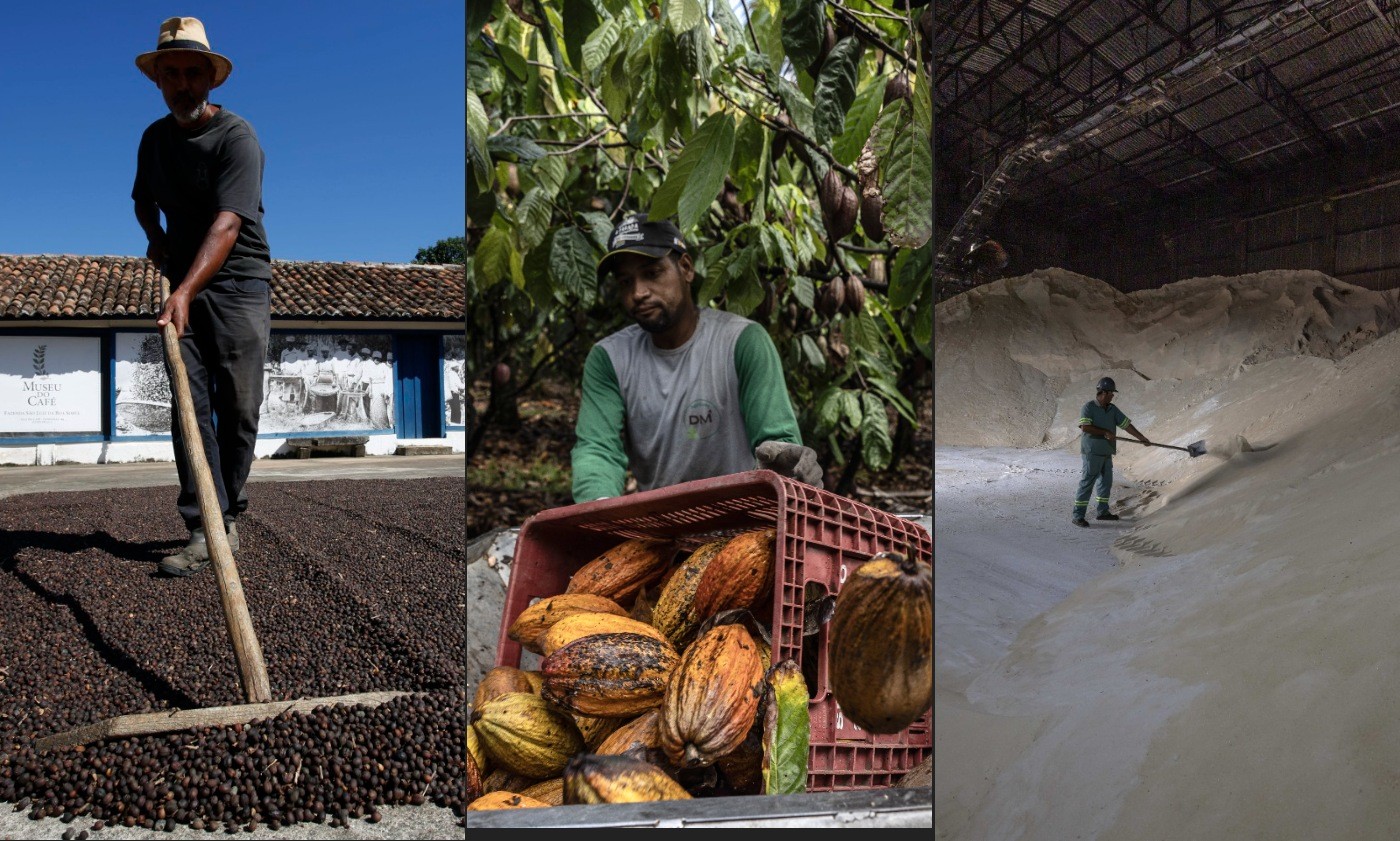 El Niño já eleva preços de café, cacau e açúcar e deve afetar desempenho do agro em 2027 - QTU Questões do Universo