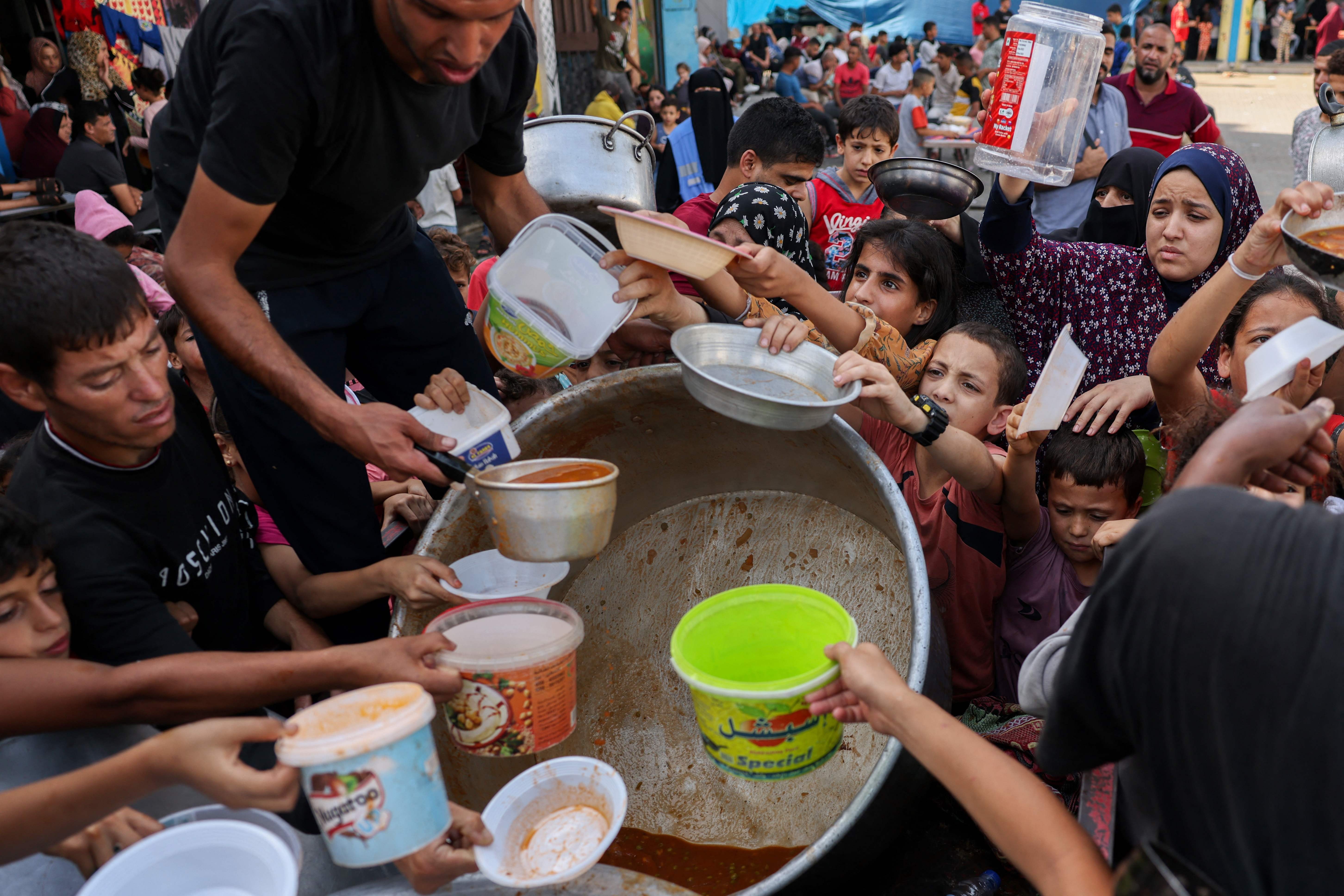 Produção de alimentos em Gaza é 'dizimada' após destruição de 70% das terras agrícolas e morte de 90% do gado, aponta ONU