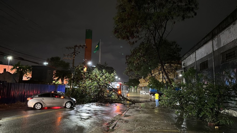 Chuva derrubou árvore na Avenida Itaóca — Foto: Renato Moura / Voz das Comunidades
