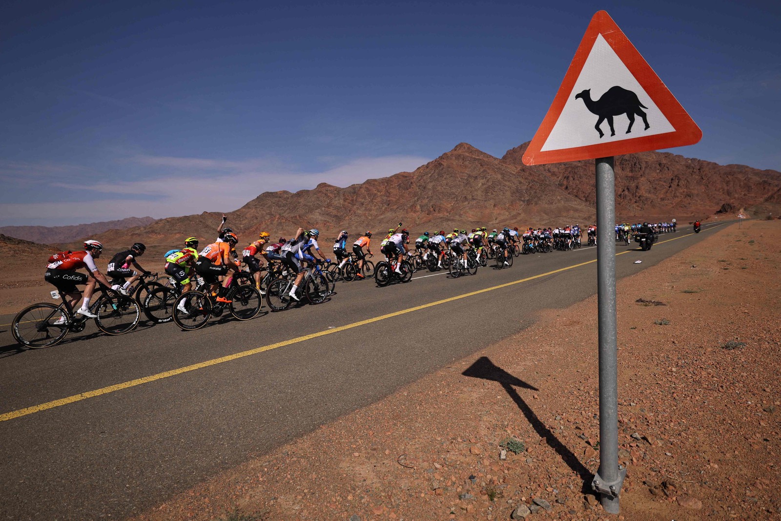 Pelotão passa por rodovia durante a primeira etapa do Saudi Tour 2023 — Foto: THOMAS SANSON/AFP