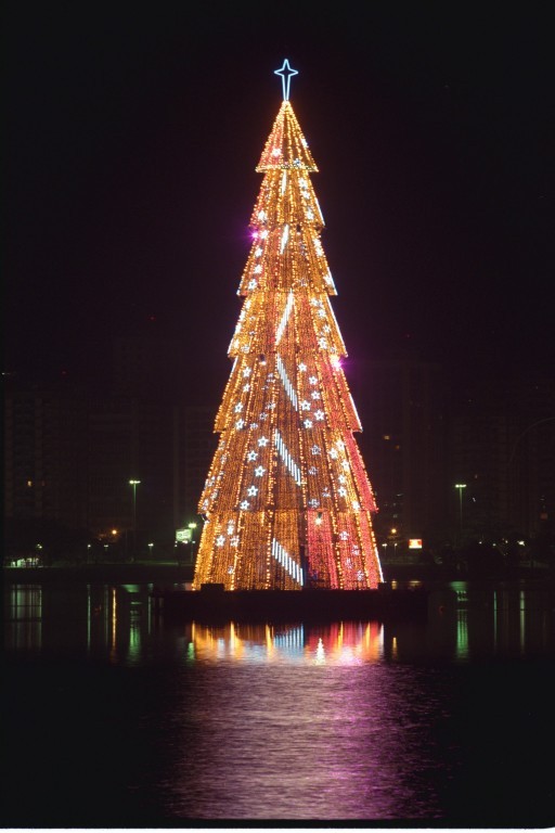 Em 1998, a Árvore da Lagoa continuou a encantar quem passava pela orla — Foto: Fernando Quevedo
