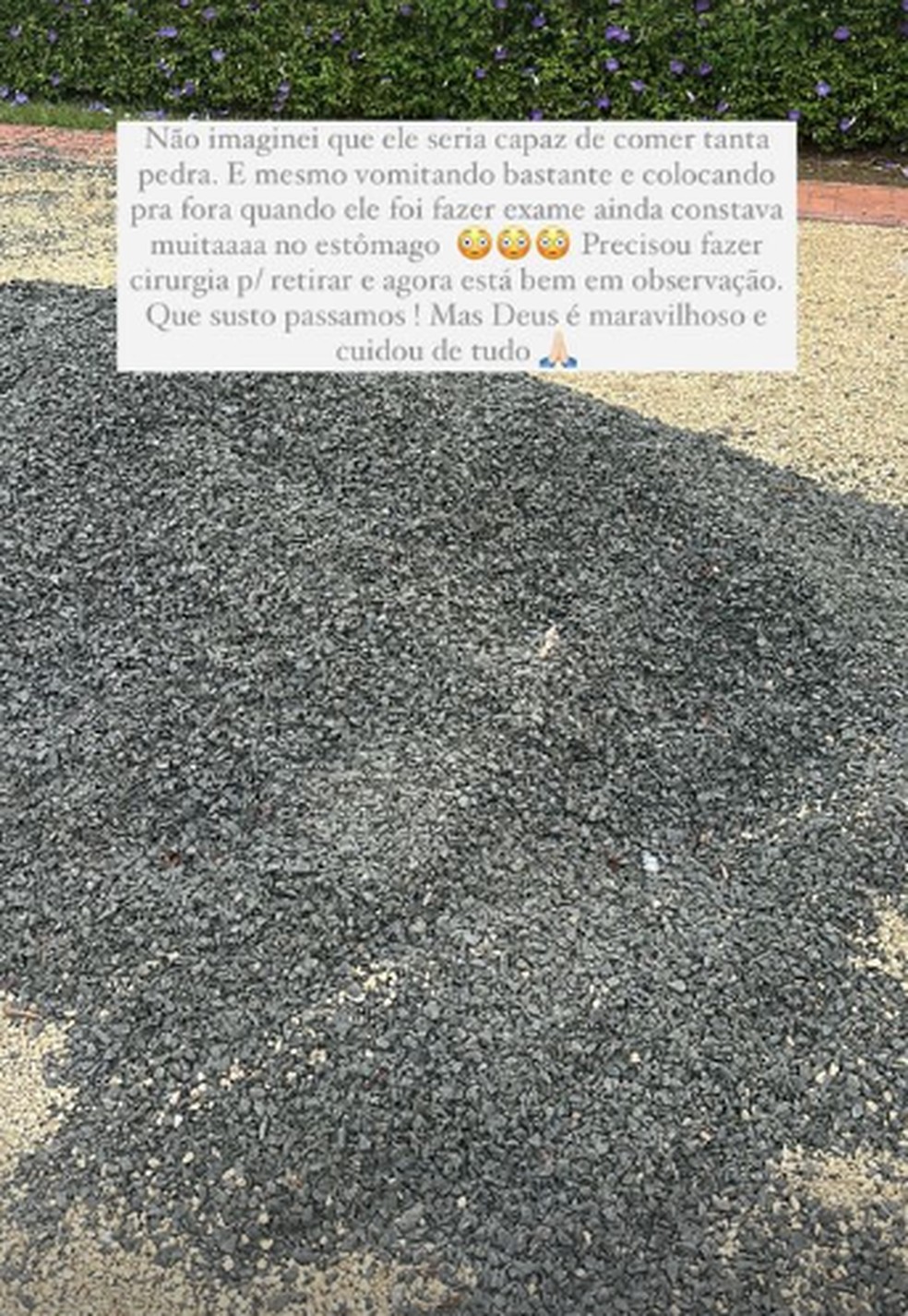 Pedras de condomínio que cachorro de Alok consumiu — Foto: Reprodução/Instagram