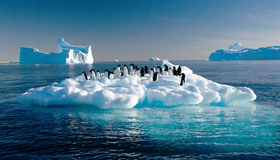 Dia Mundial do Oceano: O que a Antártica de hoje revela sobre o planeta de amanhã