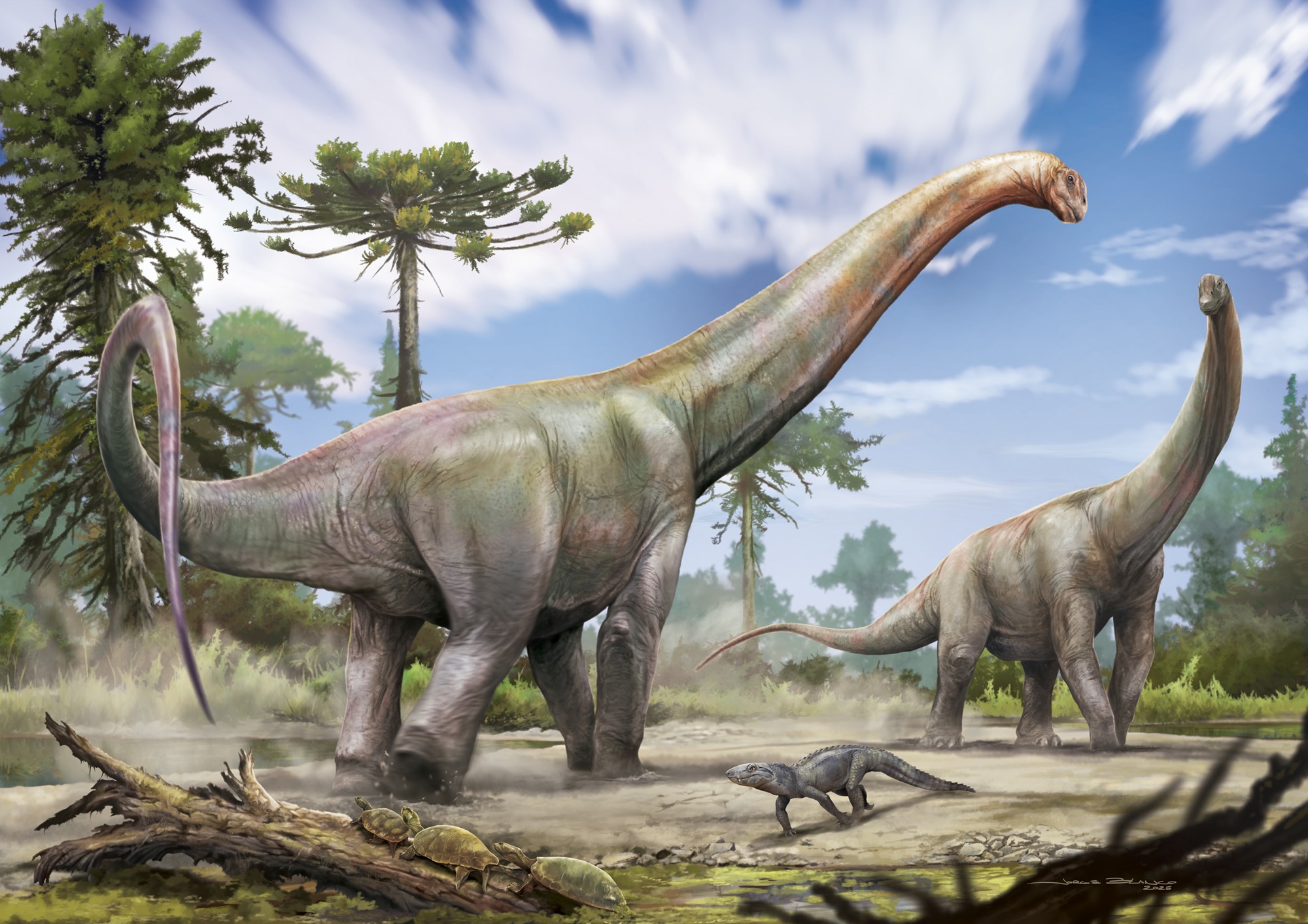 Dinossauro de 100 milhes de anos descoberto no Maranho e | Brasil | QTU Notícias