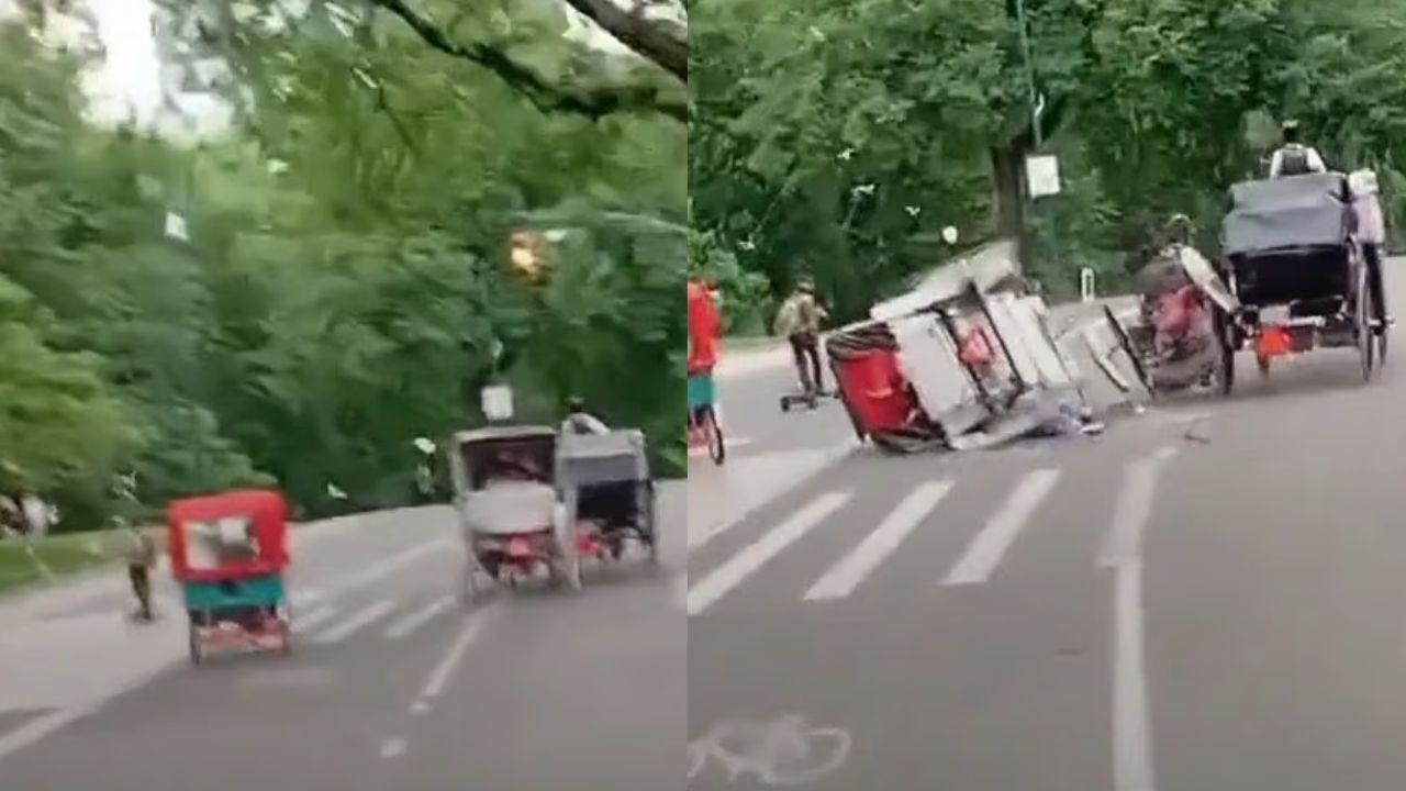 Turista indiano de 18 anos morre após ser arremessado de charrete desgovernada no Central Park; vídeo