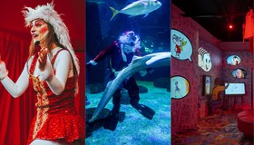 Peças de Natal, Turma da Mônica no CCBB, Papai Noel no AquaRio: o que fazer com crianças no Rio