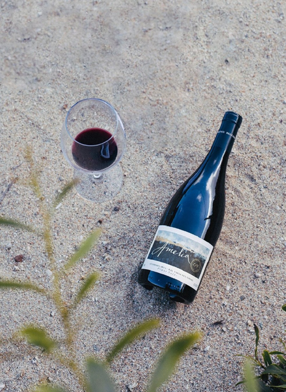 O Amelia Pinot Noir — Foto: Divulgação Viña Amelia