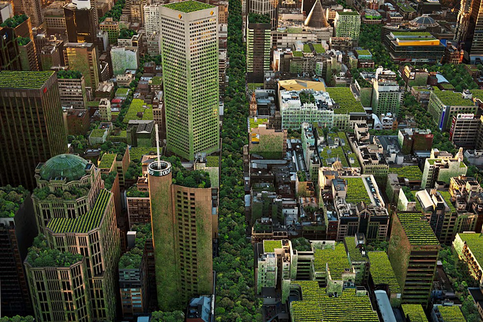 Projeto telhados verdes em Melbourne, na Austrália — Foto: Divulgação