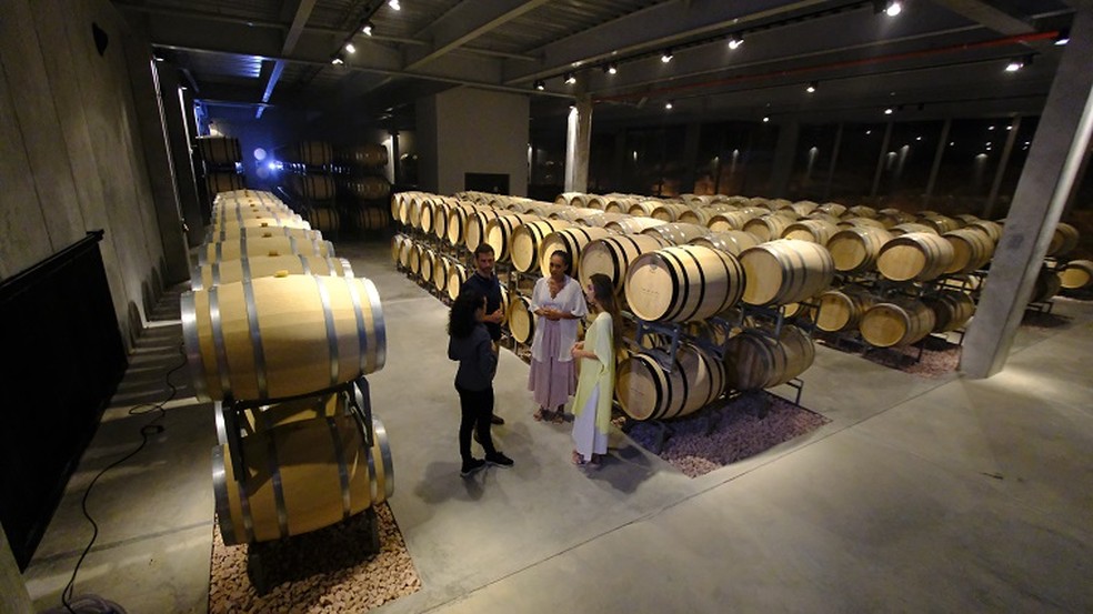 Vinhos tintos amadurecem em barricas na Uvva — Foto: Divulgação