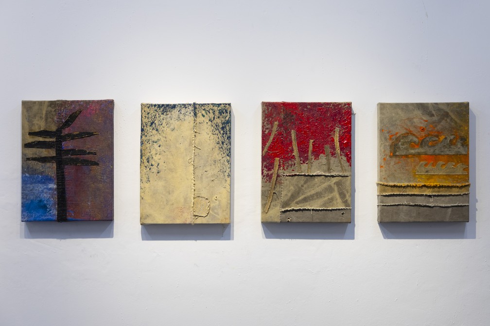 Douglas Knesse usa material que protege cargas em caminhões como suas telas — Foto: Leo Martins