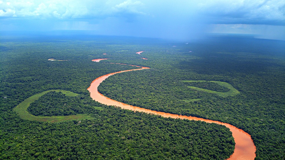 RPPN Sesc Pantanal é a maior reserva particular do patrimônio natural do País, com 108 mil hectares — Foto: Sesc/Divulgação