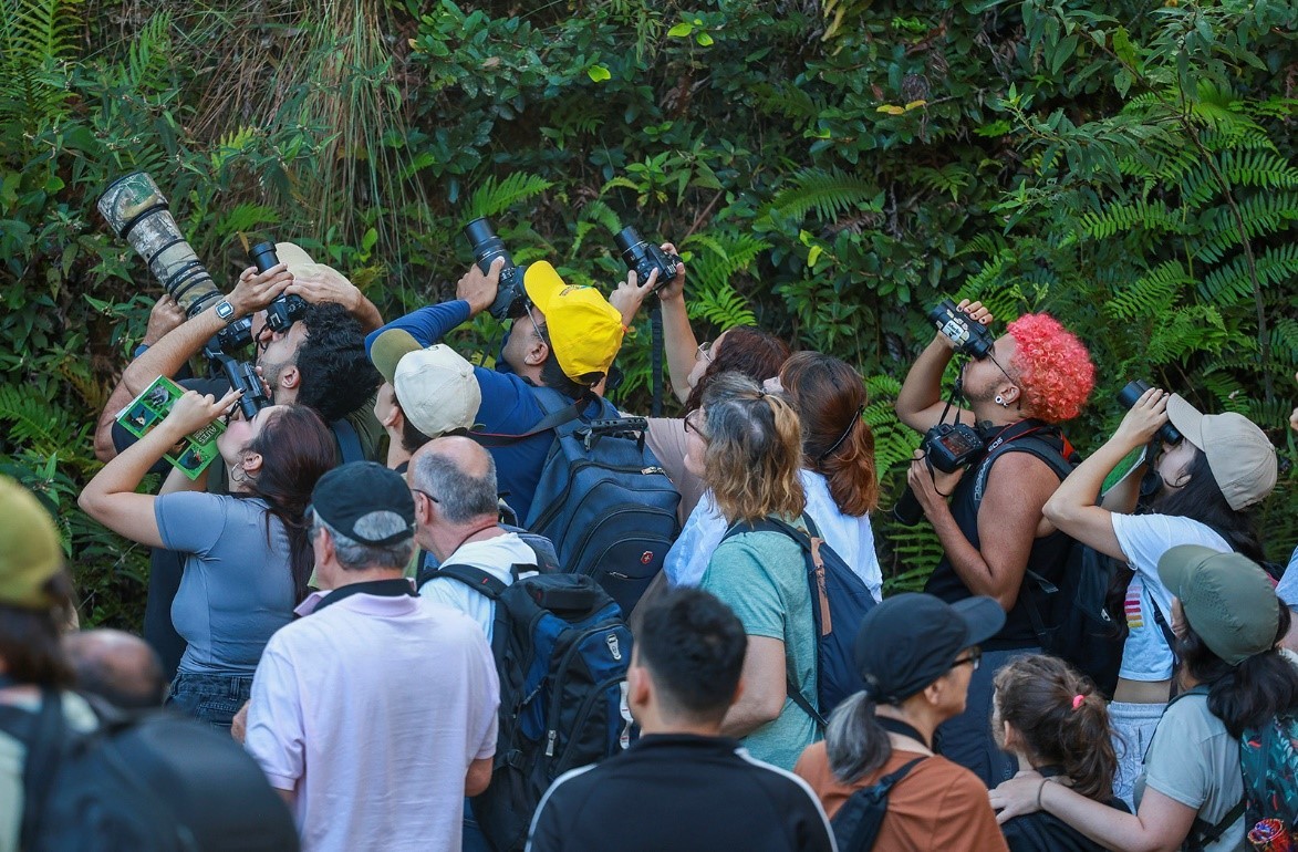 Observação de aves leva paulistanos aos parques - Foto
