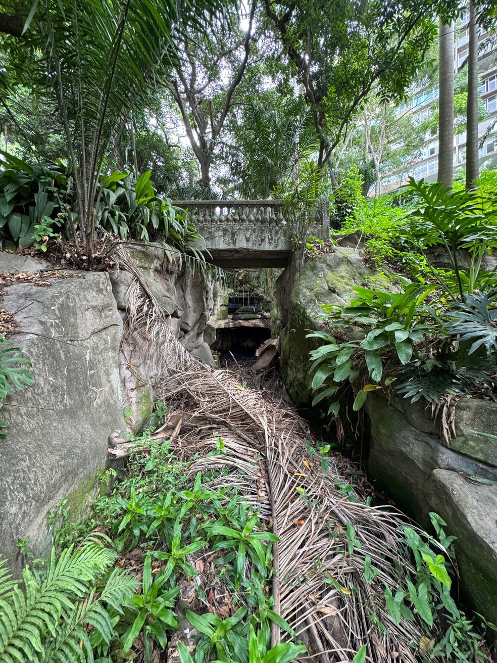 Moradores contam que pessoas em vulnerabilidade tomavam banho no canal por onde passava água que ia para o lago do Parque Guinle — Foto: Divulgação/Marco Antônio Cavalcanti