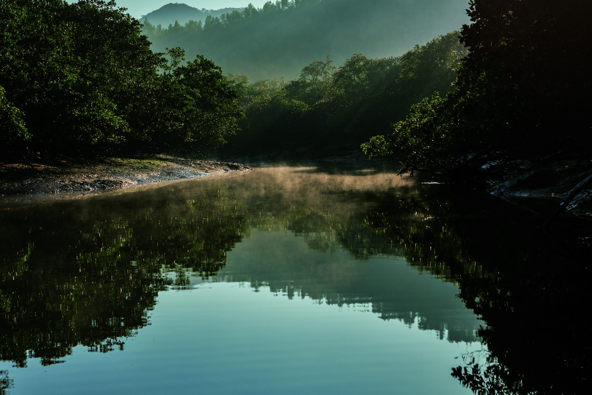 Photography by Enrico Marrone is on display in the exhibition "Mangrove"at CCBB - Photo: Disclosure / Enrico Marrone