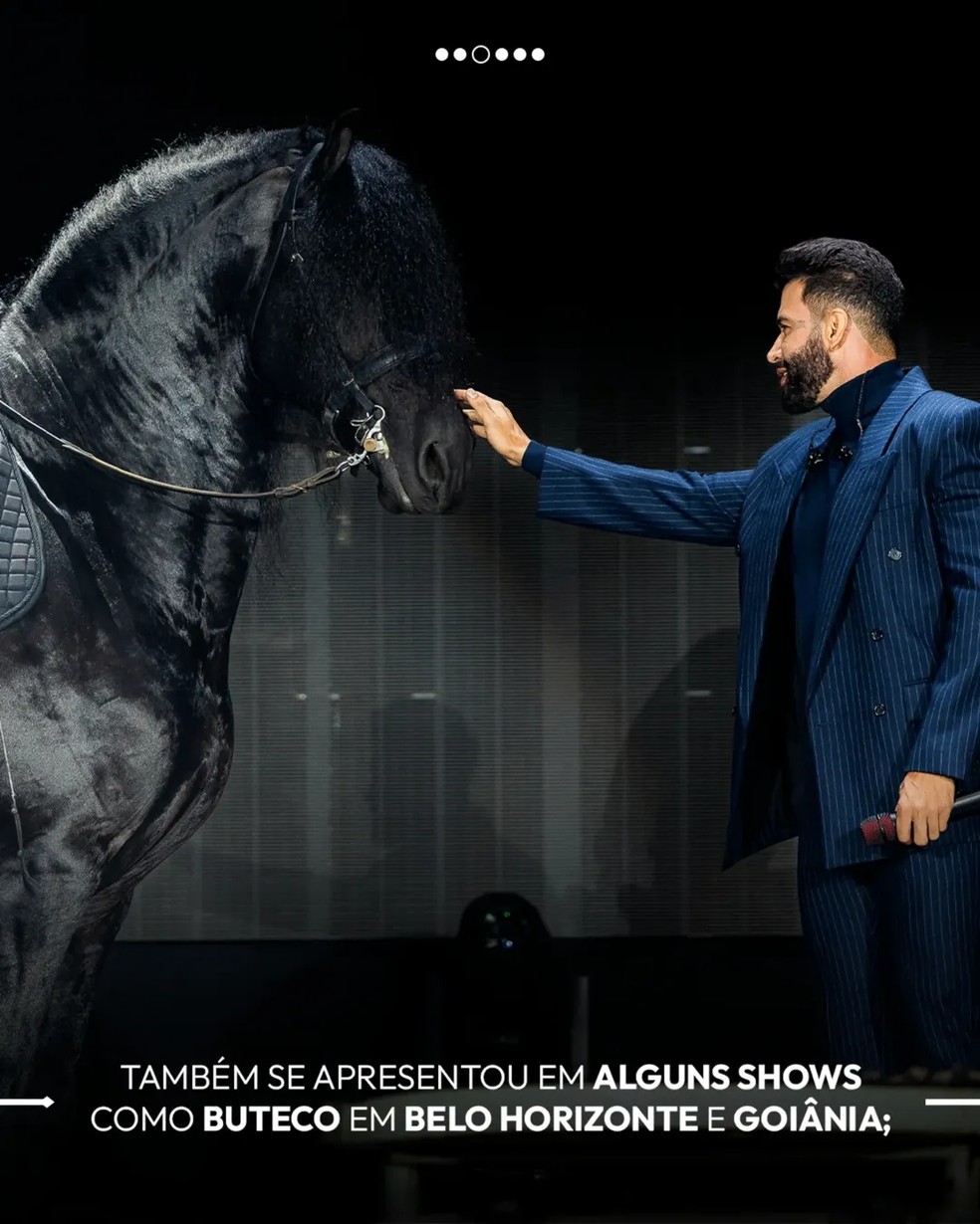 Gusttavo Lima leiloa metade de cavalo de raça por R$ 5 milhões em evento em SP — Foto: Reprodução Instagram @harasembaixador_