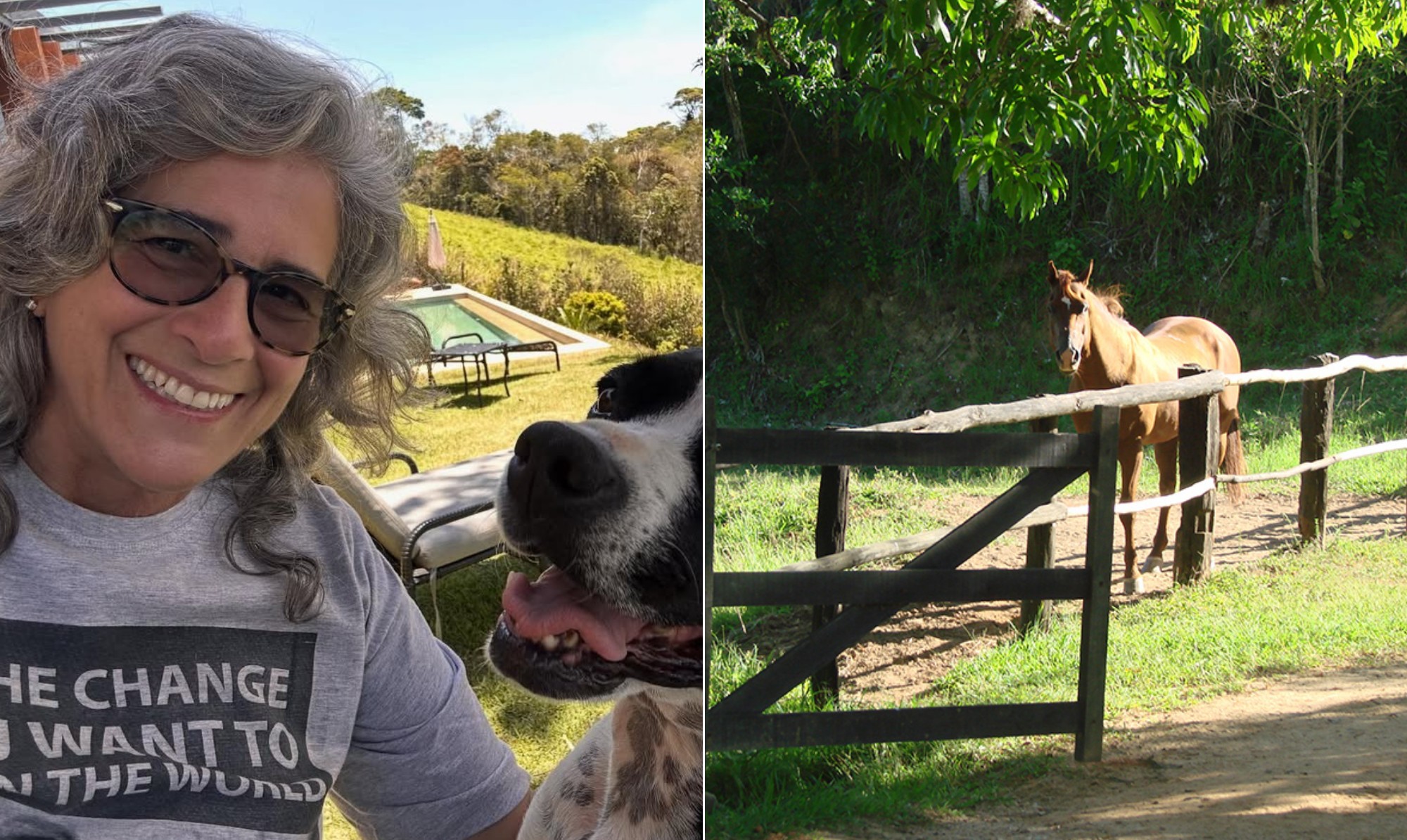 Como é a fazenda de Lúcia Veríssimo, que não come carne e até criou 