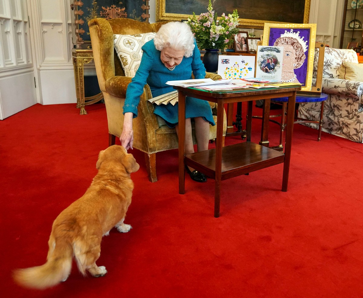 Corgis da Rainha Elizabeth II viram protagonistas de uma exposição ...