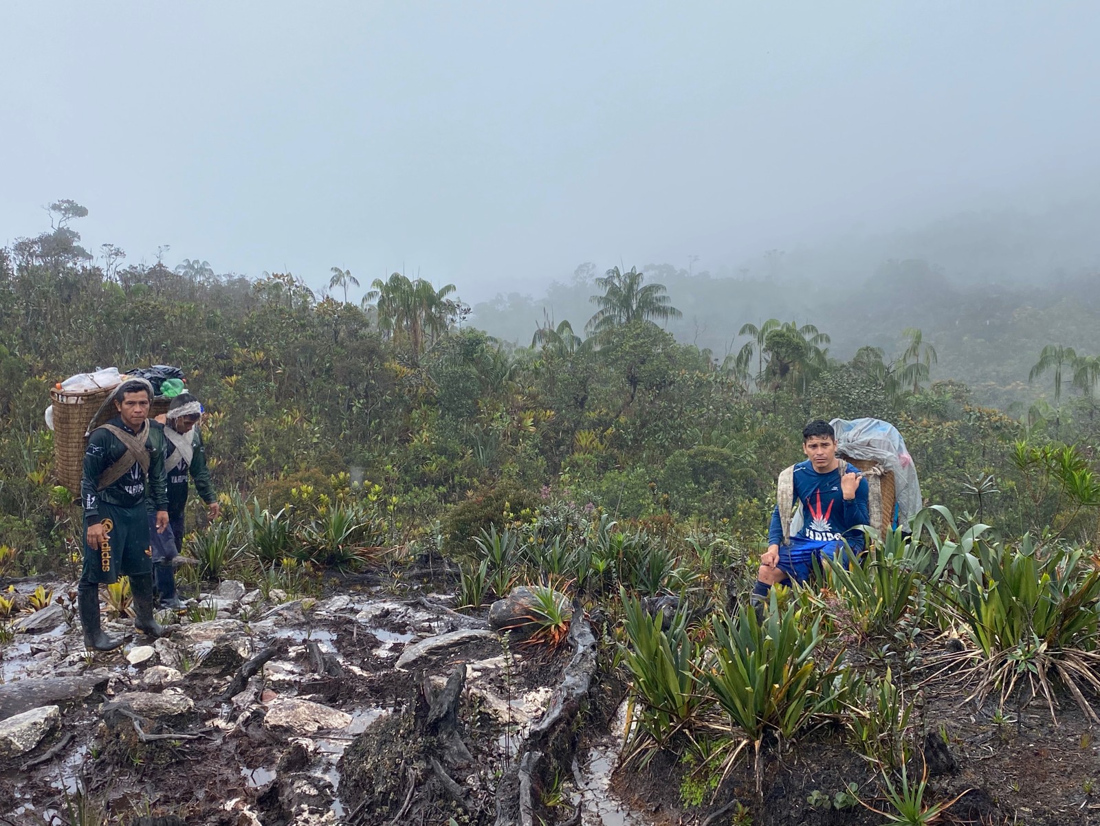 Expedição ao Pico da Neblina, no Amazonas — Foto: Divulgação