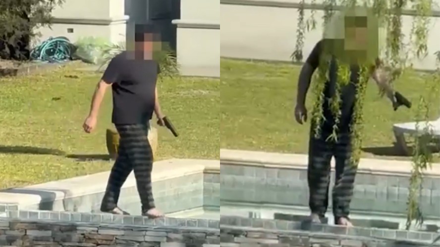 Homem é filmado atirando em grupo de capivaras na Argentina; veja imagens