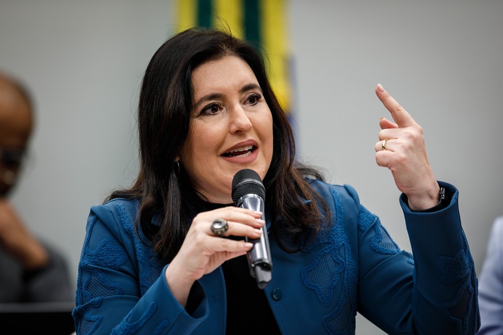 A ministra do Planejamento e Orçamento, Simone Tebet, em audiência no Congresso — Foto: Brenno Carvalho/Agência O Globo
