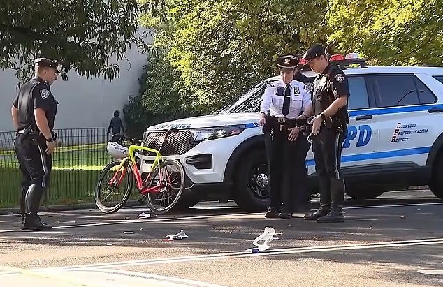 Ciclista de 71 anos morre após bater em cachorro solto no Central Park, em Nova York