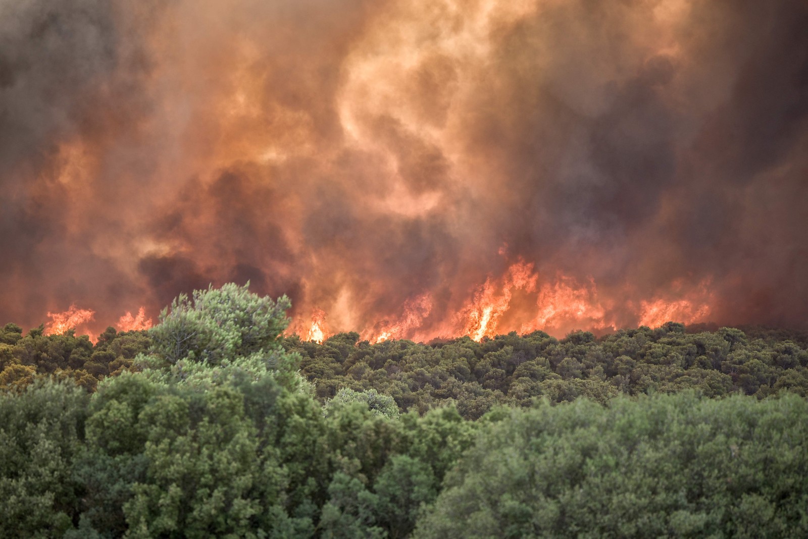 Incêndio engole a floresta perto da vila de Pournari, na área de Magoula, a cerca de 25 km da capital grega, Atenas. — Foto: Spyros BAKALIS / AFP