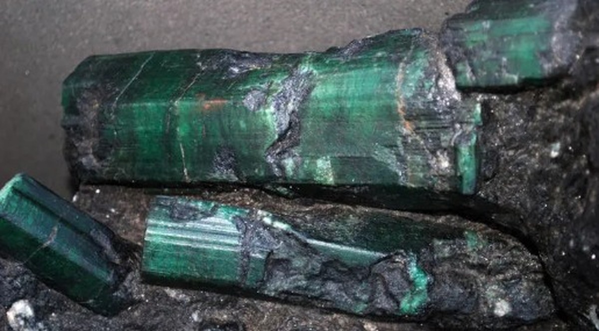 Esmeralda Bahia Justiça dos EUA acata pedido para devolver ao Brasil