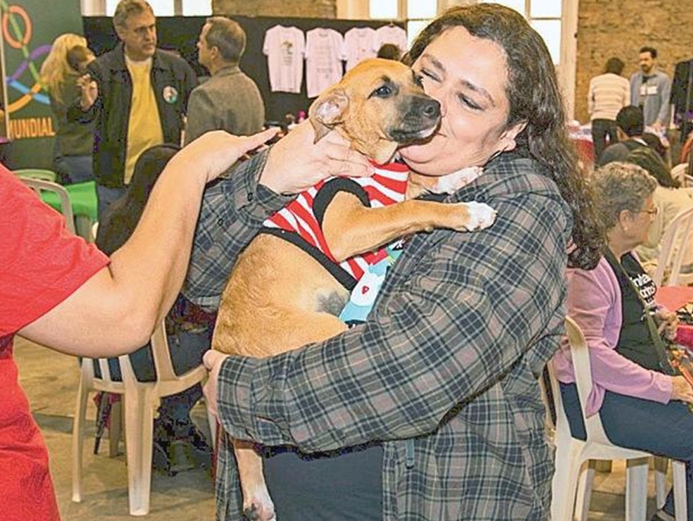 Dressed dogs will be able to participate in a parade at the IAB — Photo: Disclosure/4patinhas