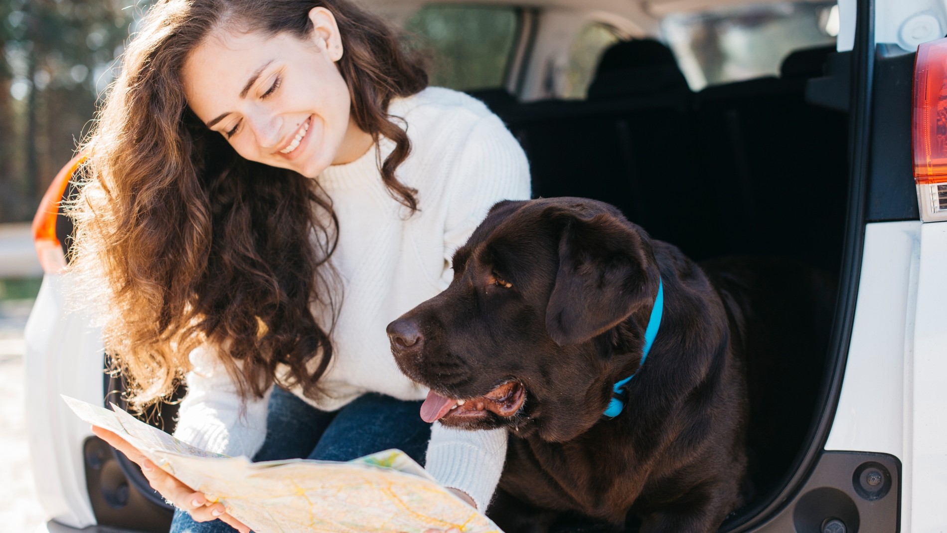 Férias: Especialista ensina a preparar cães para a ausência dos tutores