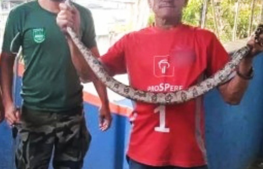 O morador levou o animal até a sede da Defesa Civil de Nova Iguaçu
