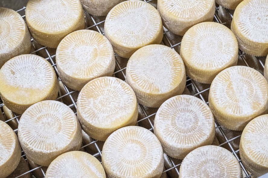 Queijo fresco Formaggio Rodez, produzido em Rodez, França